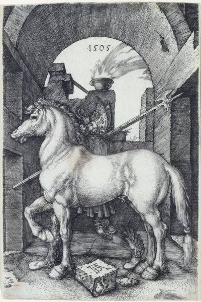 Pieni hevonen, 1505 tekijältä Albrecht Dürer