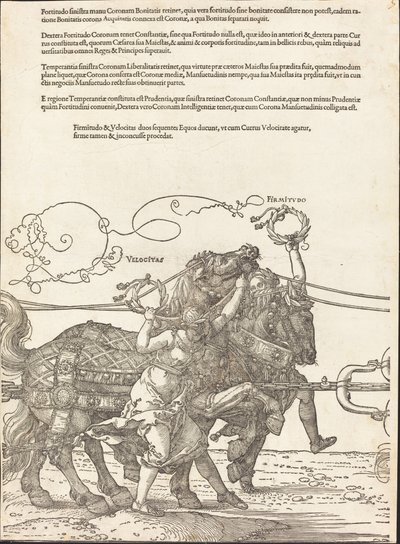 Maximilian I:n voittovaunut (suuri voittoauto) [kilpi 5/8] tekijältä Albrecht Dürer