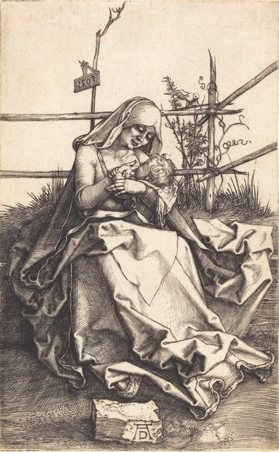 Neitsyt ja lapsi ruohopenkillä, 1503. tekijältä Albrecht Dürer