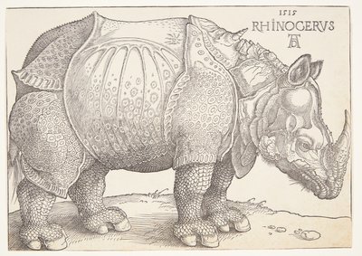 Sarvikuono tekijältä Albrecht Dürer