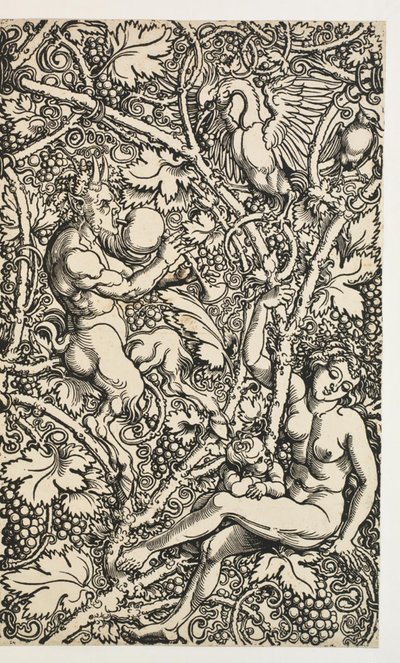 Kaksi mallia kuvakudoksille satyrperheen kanssa tekijältä Albrecht Dürer