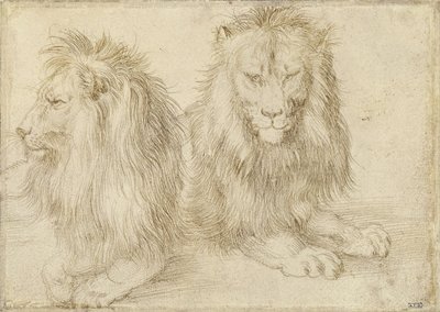 Kaksi istuvaa leijonaa, 1521 tekijältä Albrecht Dürer