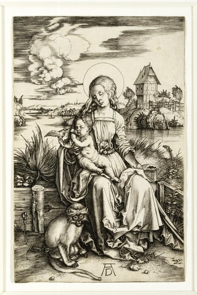 Neitsyt ja lapsi apinan kanssa tekijältä Albrecht Dürer