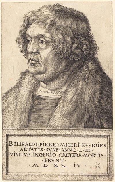  tekijältä Albrecht Dürer