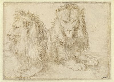  tekijältä Albrecht Dürer