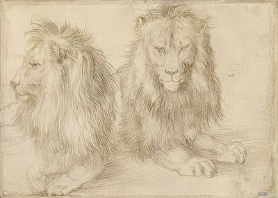 Kaksi makaavaa leijonaa. 1521 tekijältä Albrecht Dürer