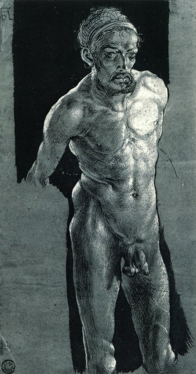 omakuva alasti tekijältä Albrecht Dürer
