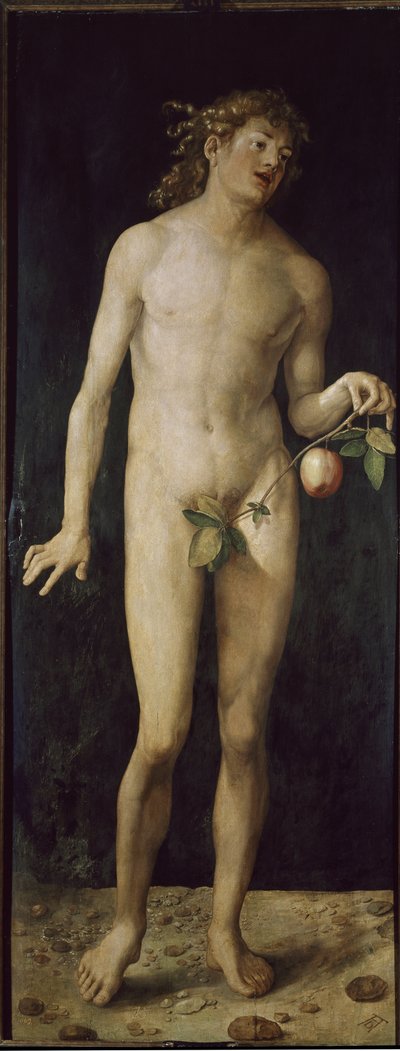 Adam (öljy puulle tekijältä Albrecht Dürer