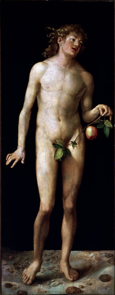  tekijältä Albrecht Dürer or Duerer