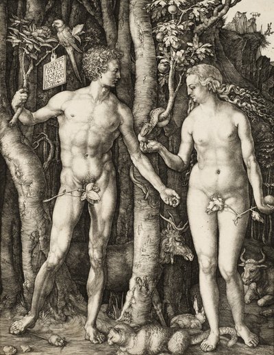 Aatami ja Eeva tekijältä Albrecht Dürer