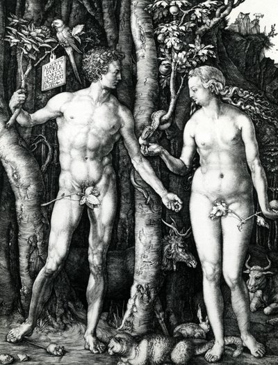 Aatami ja Eeva tekijältä Albrecht Dürer