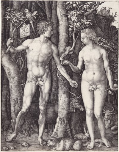 Adam ja Eeva, pub. 1504 (kaiverrus) tekijältä Albrecht Dürer