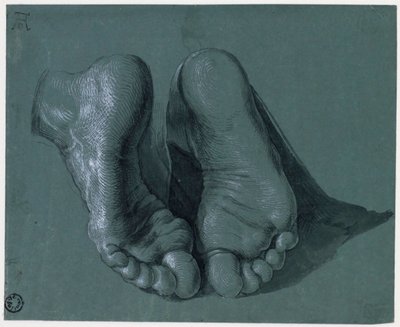 Etude de pieds - Tutkimus kahdesta jalasta - Albrecht Durerin (1471-1528) piirustus, akvarelli, valkoinen, musta liitu paperille, c1508 (17,6x21,6 cm) - Museum Boijmans Van Beuningen, Rotterdam tekijältä Albrecht Dürer