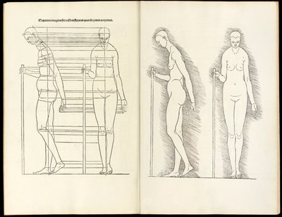 Nainen sauvoineen, anatominen puupiirros täältä käsitetään neljä ihmissuhteista kirjaa, 1528 tekijältä Albrecht Dürer