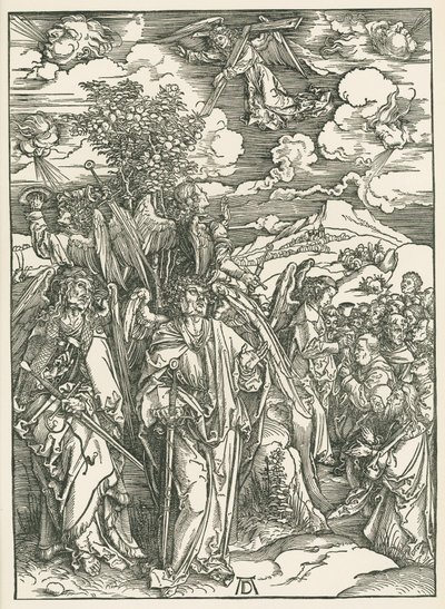 Neljä enkeliä pysäyttää tuulet ja valittujen allekirjoittaminen. Johanneksen ilmestys, noin 1497-98 (puupiirros). tekijältä Albrecht Dürer or Duerer