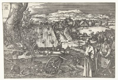 Maisema tykin kanssa tekijältä Albrecht Dürer or Duerer