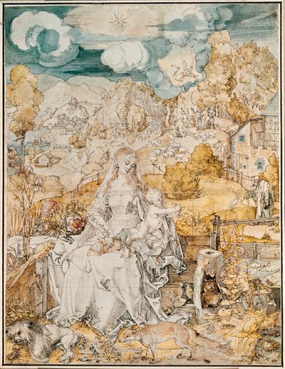Madonna ja suuri joukko eläimiä (akvarelli, kynä ja sivellin paperille) tekijältä Albrecht Dürer or Duerer