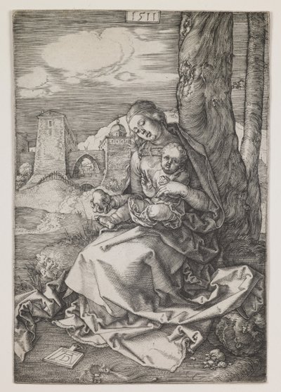 Madonna ja päärynä tekijältä Albrecht Dürer or Duerer