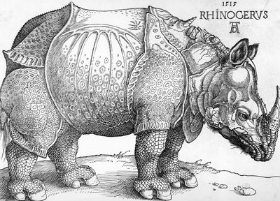 Sarvikuono tekijältä Albrecht Dürer