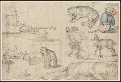 Luonnoksia eläimistä ja maisemista, 1521 tekijältä Albrecht Dürer