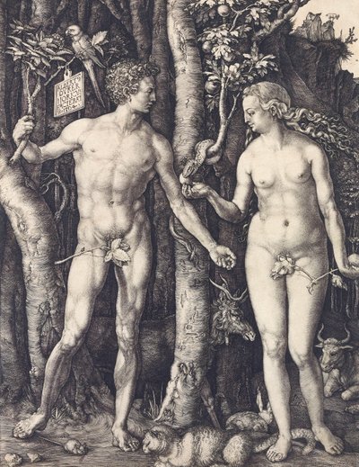 Albrecht Durerin The Fall of Man tekijältä Albrecht Dürer