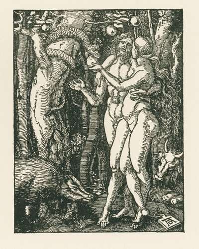 Ihmisen syntiinlankeemus, noin 1510 (puupiirros) tekijältä Albrecht Dürer or Duerer