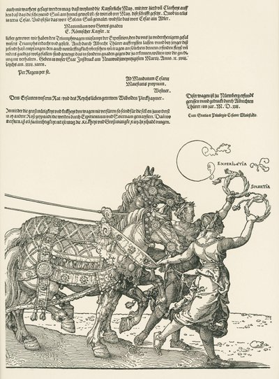 Suuri voittoauto tekijältä Albrecht Dürer or Duerer