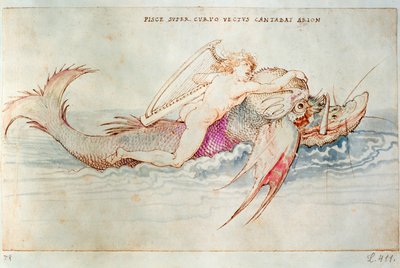 Kreikkalainen runoilija Arion delfiinin selässä, noin 1515 (akvarelli paperille). tekijältä Albrecht Dürer or Duerer