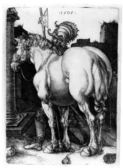 Suuri hevonen, 1509 tekijältä Albrecht Dürer