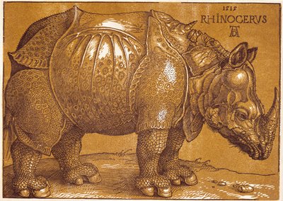 Sarvikuono tekijältä Albrecht Dürer or Duerer