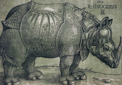 Sarvikuono, 1515 tekijältä Albrecht Dürer