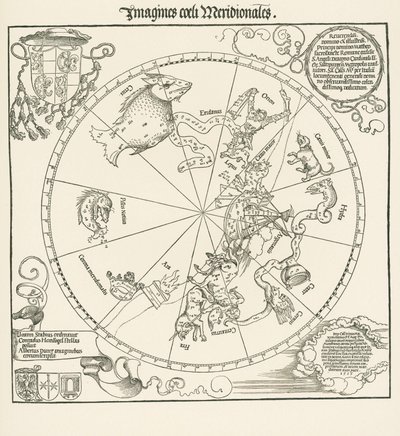 Taivaankehän eteläinen pallonpuolisko tekijältä Albrecht Dürer or Duerer