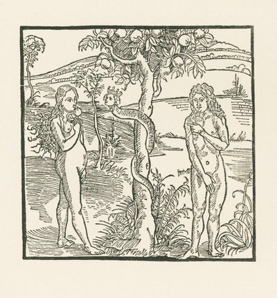 Putoaminen. Kuvitus teokseen " Der Ritter von Turn " , noin 1493-93 (puupiirros). tekijältä Albrecht Dürer or Duerer