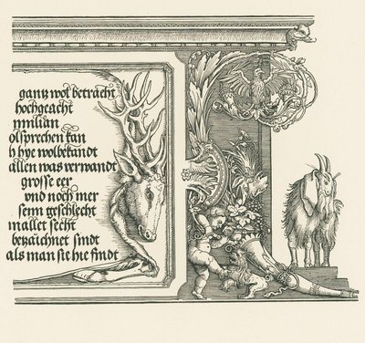 Riemukaari keisari Maximilian I:lle tekijältä Albrecht Dürer or Duerer