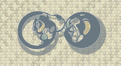 Tiivistelmä: Feline Infinity tekijältä Alejandra Winkhaus