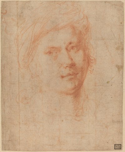 Nuorten johtaja tekijältä Alessandro Allori