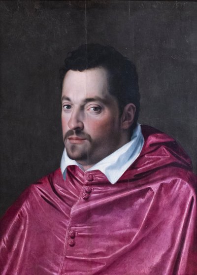 Kardinaali Ferdinando Medicin muotokuva tekijältä Alessandro Allori