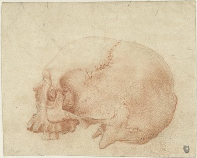 Kallon tutkimus tekijältä Alessandro Allori