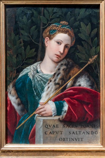 Muotokuva herrasnaisesta Salomena, n. 1537 (öljy paneelille) tekijältä Alessandro Bonvicino Moretto