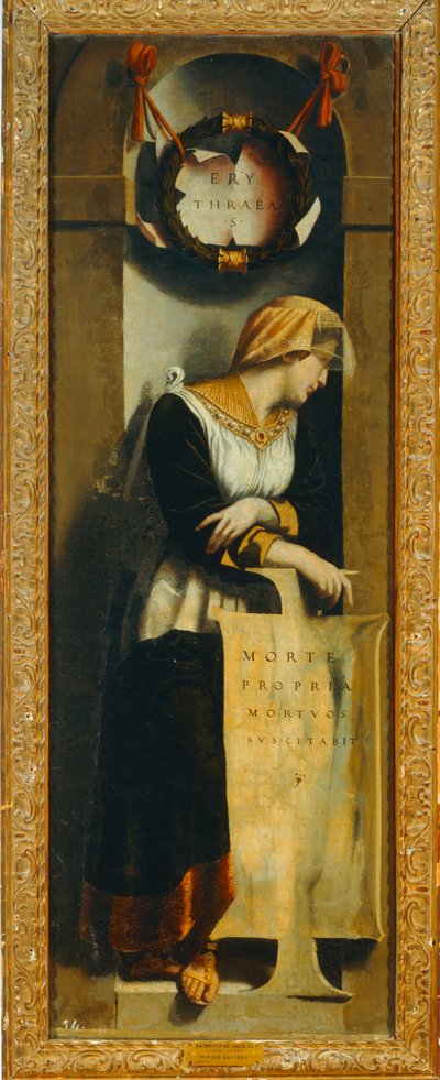 Erithrean Sibylli. 10014717 ... tekijältä Alessandro Bonvicino Moretto