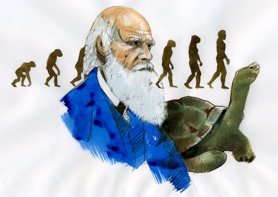 Charles Darwinin muotokuva - englantilaisen luonnontieteilijän Charles Darwinin (1809-1882) muotokuva. tekijältä Alessandro Lonati