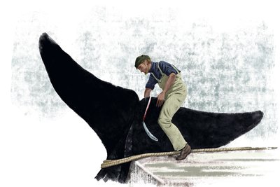 Valasvene leikkaamassa valaan häntää tekijältä Alessandro Lonati