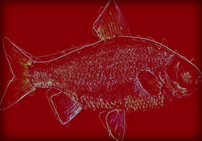 Fish V, 2020 ,(sekoitettu media) tekijältä Alex Caminker