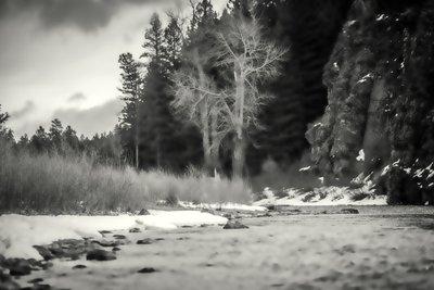 aksentit, 2019, (valokuvaus) tekijältä Alex Caminker