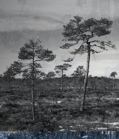 sininen maanalainen, 2019, (sekoitettu media) tekijältä Alex Caminker