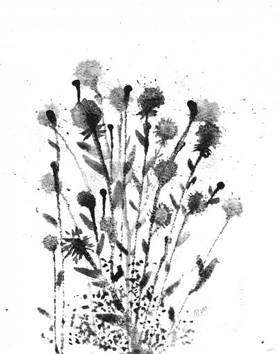 Abstrakti: Musteen kukkaloisto tekijältä Alex Walsh