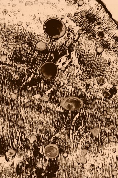 Happi tekijältä Alexander Adiels