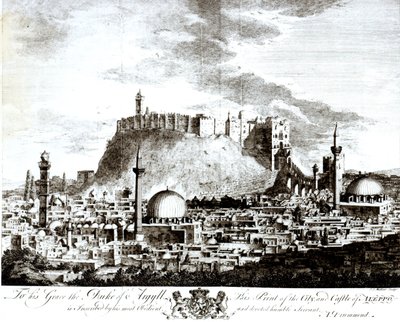 Näkymä Syyrian Aleppon kaupunkiin ja linnalle, 1754 tekijältä Alexander Drummond