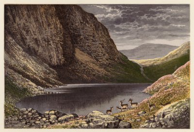 Skotlannin Loch-maisemat: Loch-na-gar (värilitografia). tekijältä Alexander Francis (after) Lydon