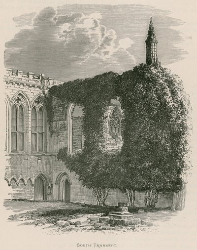 Bolton Priory, South Transept tekijältä Alexander Francis Lydon